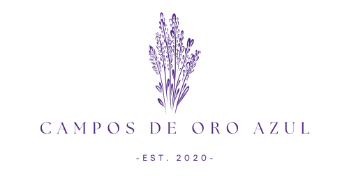 camposdeoroazulbrihuega.com