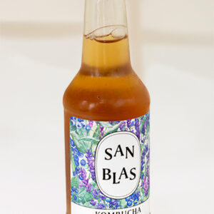 Kombucha artesana
